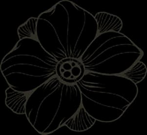 Decorative Pattern